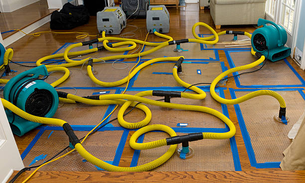 Professional Water Damage Repair technician working in Allenwood, NJ