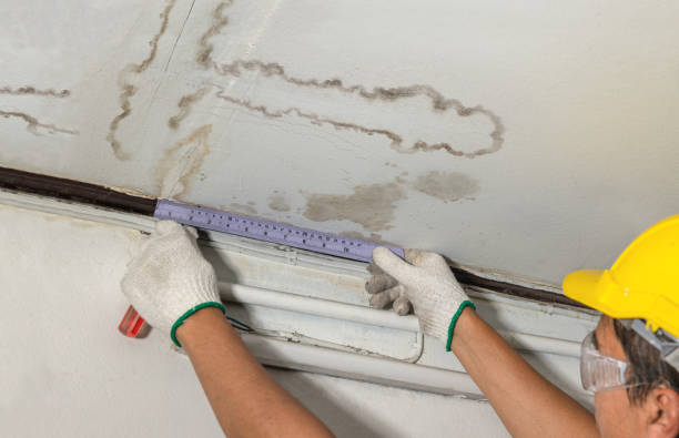 Affordable Water Damage Repair solutions in Allenwood, NJ